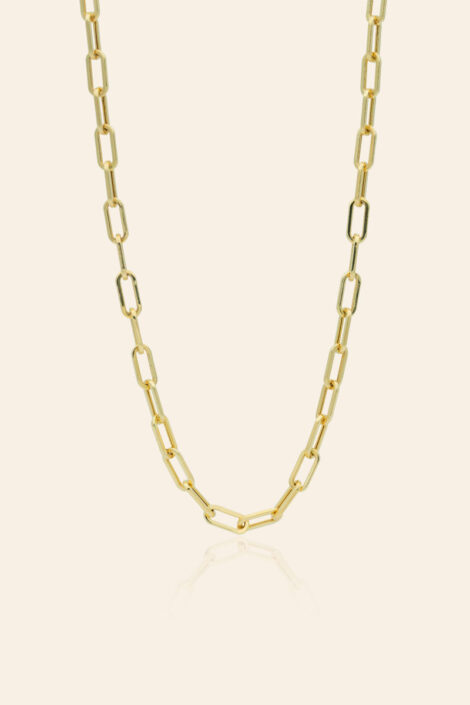 14 Ayar Sarı Altın Ataç Zincir Kolye